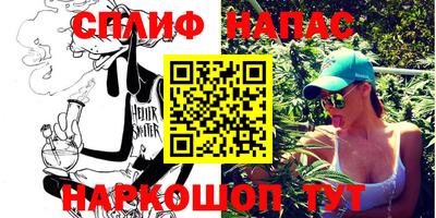 ALPHA PVP Пугачёв