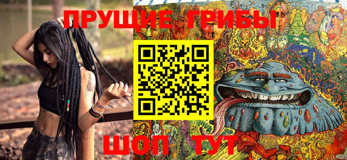 Псилоцибиновые грибы прущие грибы Соликамск